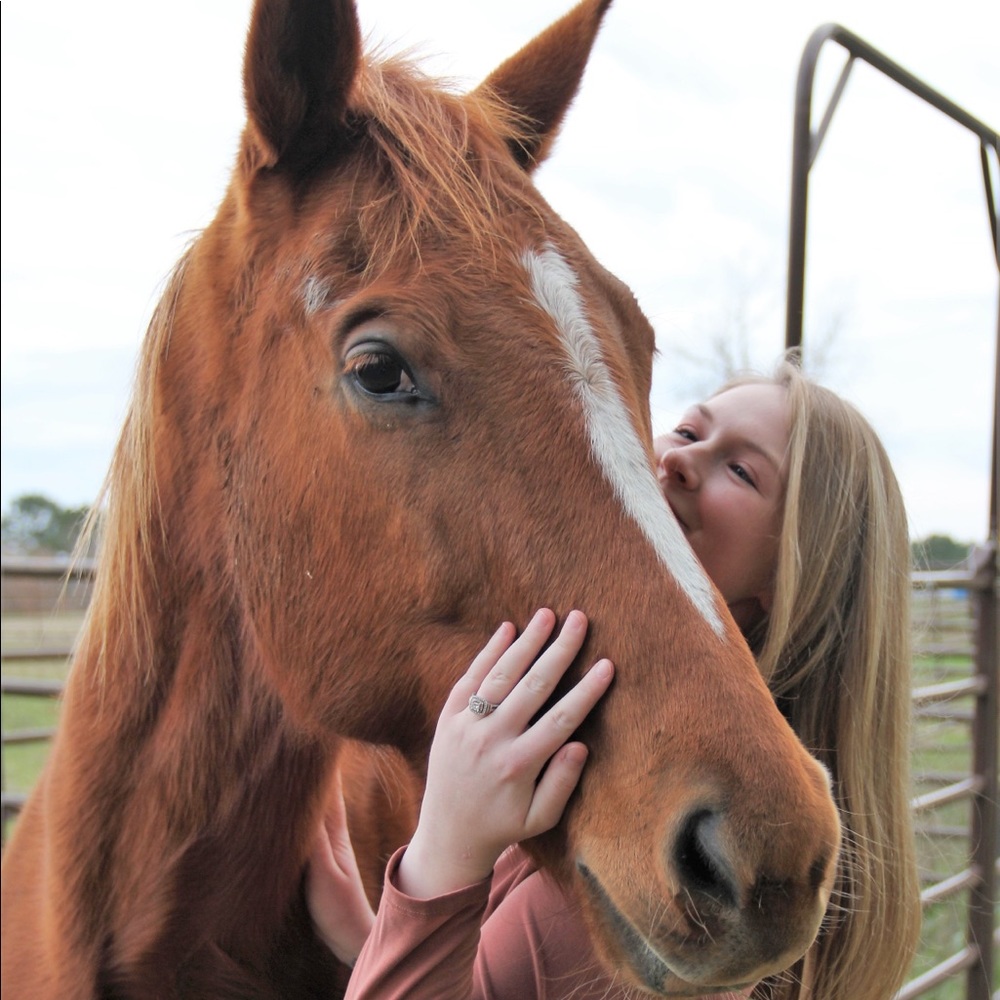 Meet your Posher, Cheyenne